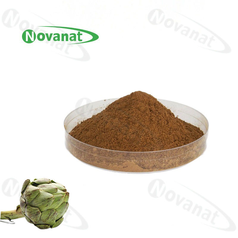 artichoke Extract Herbal Extract Powder 2.5% Artichoke acid 5% 2.5% Cynarin Enhancing immune function
