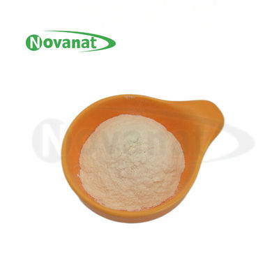 bifidobacterium breve BB8 500 milyar KOB/g / Vegan / Alerjensiz / Glutensiz / Süt Ürünü İçermez