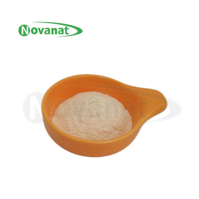 Pediococcus Acidilactici PA10 500milyar CFU/g Probiyotik Tozu Vegan/Alerjen Serbest/Gluten Serbest/Süt Serbest