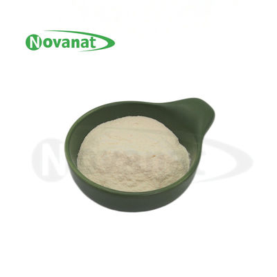 Levilactobacillus brevis LBr05 300 milyarCFU/g Probiyotik tozu / Alerjensiz / Glutensiz / Sütsüz