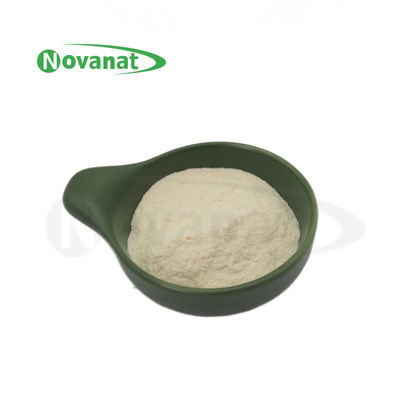 Levilactobacillus brevis LBr05 Probiyotik Tozu Vegan / Alerjen Özgür / Gluten Özgür / Süt Özgür