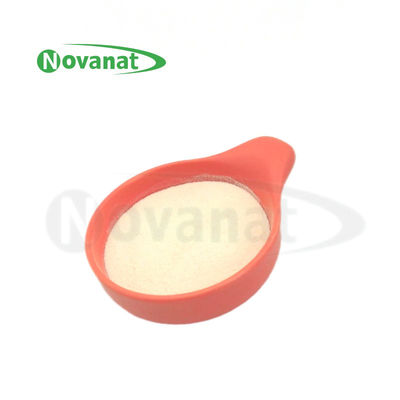 Tyndallize Edilmiş / Vegan Ligilactobacillus salivarius LS86 Alerjensiz/Glutensiz/Süt Ürünü İçermez