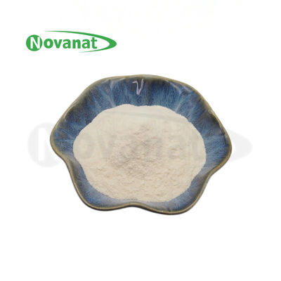 Ligilactobacillus salivarius LS86 100 milyar KOB/g Probiyotik Toz Vegan/ Alerjen İçermez / Glutensiz / Süt Ürünü İçermez