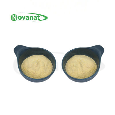 Lactiplantibacillus plantarum LP-Only Postbiotics Powder Tyndallized / Vegan / Alerjen Serbest / Gluten Serbest / Süt Serbest