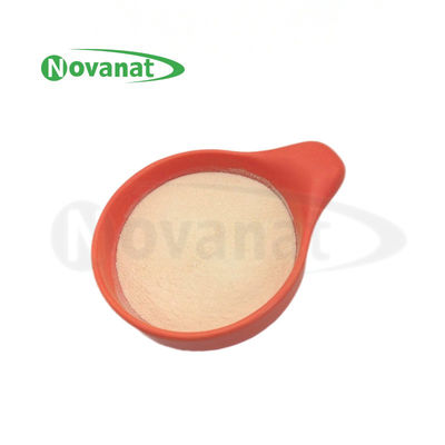 Lacticaseibacillus paracasei LPC28 probiyotik / Tyndallized / Vegan / Alerjensiz / Glutensiz / Sütsüz