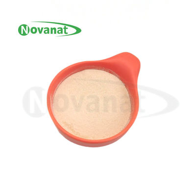 Bifidobacterium animalis subsp. lactis BI516 Postbiyotikler Toz Tyndallized / Vegan / Alerjensiz / Glutensiz / Sütsüz
