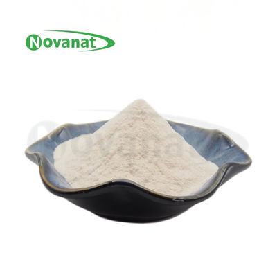 Lacticaseibacillus casei LC18/400billion CFU/g/Vegan/Alerjensiz/Glutensiz/Sütsüz