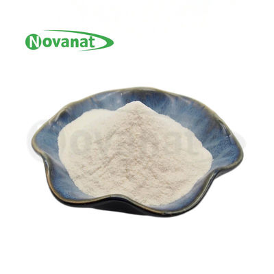 Lacticaseibacillus casei LC18 400 milyar CFU/g Probiyotik Tozu Vegan/Alerjen Serbest/Gluten Serbest/Süt Serbest